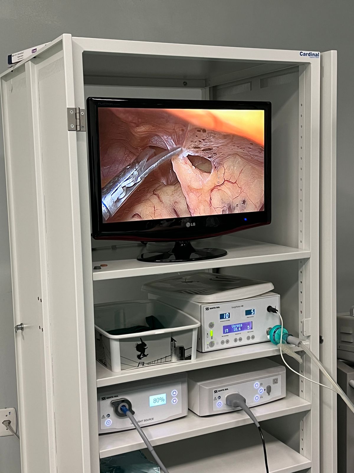 Imagem do WhatsApp de 2025-03-20 à(s) 10.12.31_dd858224.jpg